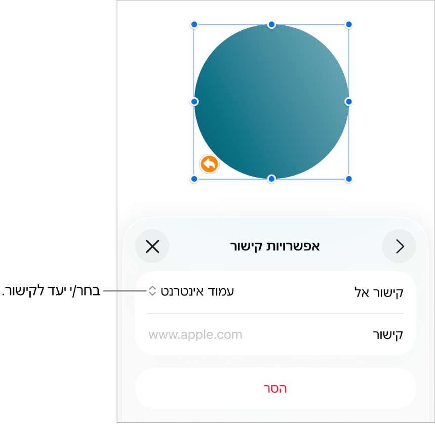 כלי הבקרה של ״אפשרויות קישור״ כאשר האפשרות ״עמוד אינטרנט״ נבחרת ובחלק התחתון מוצג הכפתור ״הסר״.