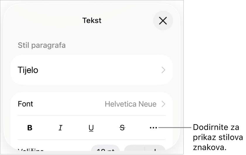 Kontrole opcije Formatiraj s tipkama za opcije teksta Podebljano, Kurziv, Podcrtavanje, Precrtavanje i Više.