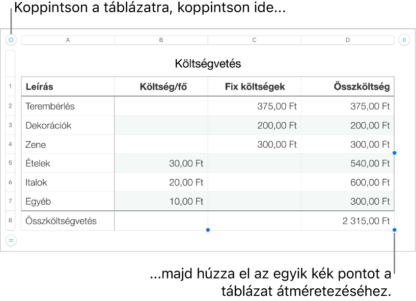 Kijelölt táblázat, átméretezésre szolgáló kék pontokkal.