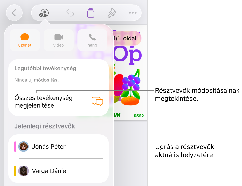 Az együttműködési menü a jelenlegi résztvevőkkel.