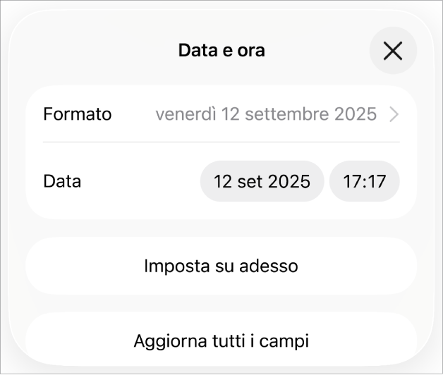 I controlli “Data e ora” con un menu comparsa per il formato della data e i pulsanti “Imposta su oggi” e “Aggiorna tutti i campi”.