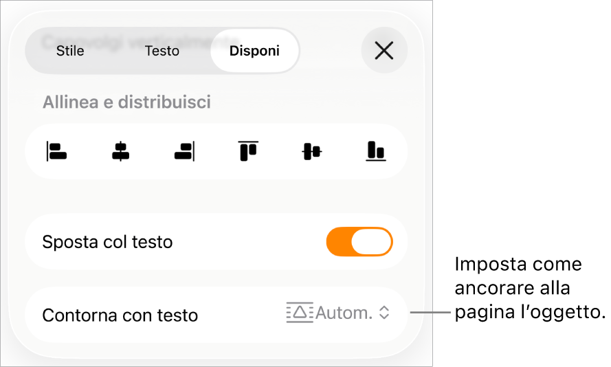 Controlli di Disposizione con “Sposta col testo” e “Disposizione testo”.
