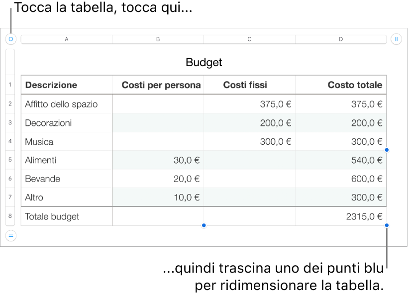 Tabella selezionata con punti blu per il ridimensionamento.