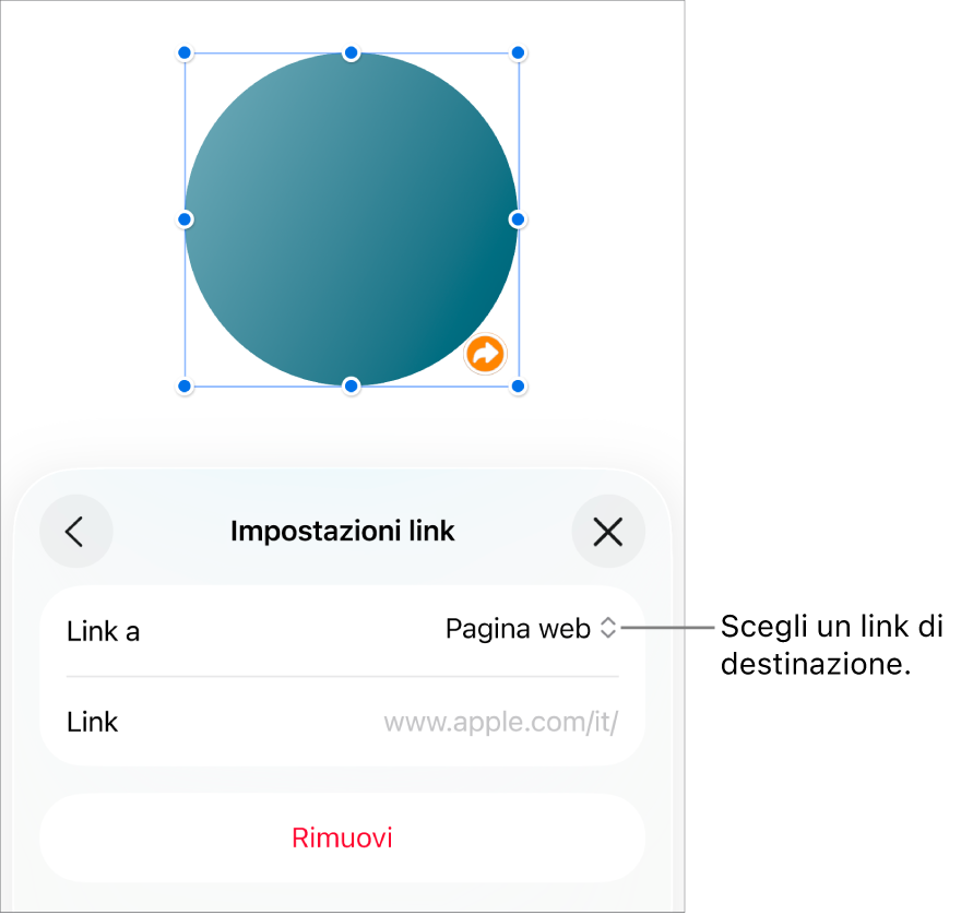 I controlli delle impostazioni dei link con la pagina web selezionata e con il pulsante per rimuovere il link mostrato in basso.