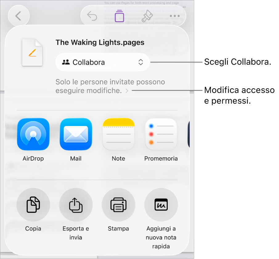 Il menu di condivisone con l’opzione Collabora selezionata in alto e le impostazioni di accesso e dei permessi sotto.