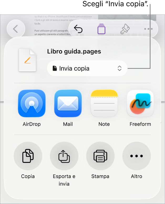 Il menu Condividi con l’opzione “Invia copia” selezionata in alto.