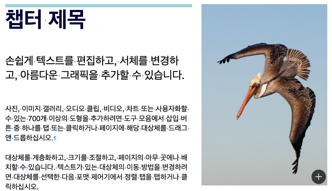 단락 나누기 및 섹션 나누기의 기호를 표시하는 텍스트.