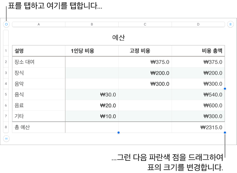 크기 조절용 파란색 점이 있고 선택되어 있는 표.
