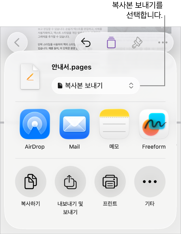 상단에 복사본 보내기가 선택되어 있는 공유 메뉴.