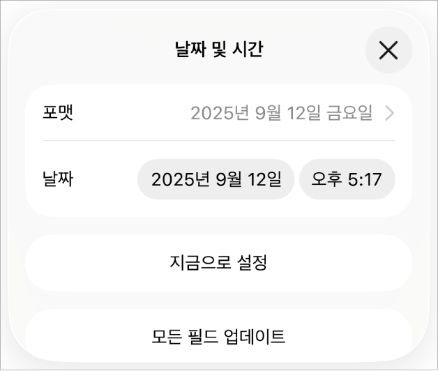 날짜 포맷에 대한 팝업 메뉴와 ‘지금으로 설정’ 버튼 및 ‘모든 필드 업데이트’ 버튼을 표시하는 날짜 및 시간 제어기.