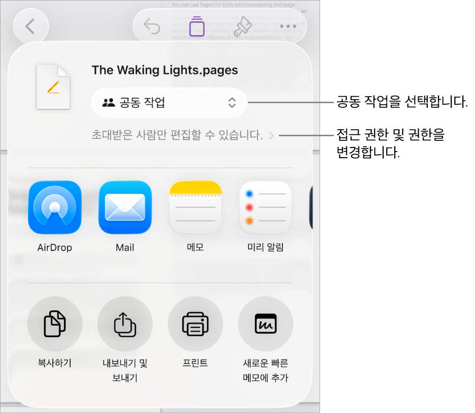 상단에 공동 작업이 선택되어 있는 공유 메뉴가 있고, 그 아래에는 접근 및 권한 설정이 있음.