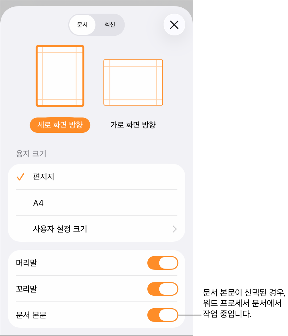 열린 문서 설정에서 문서 본문이 선택된 워드 프로세서 문서.