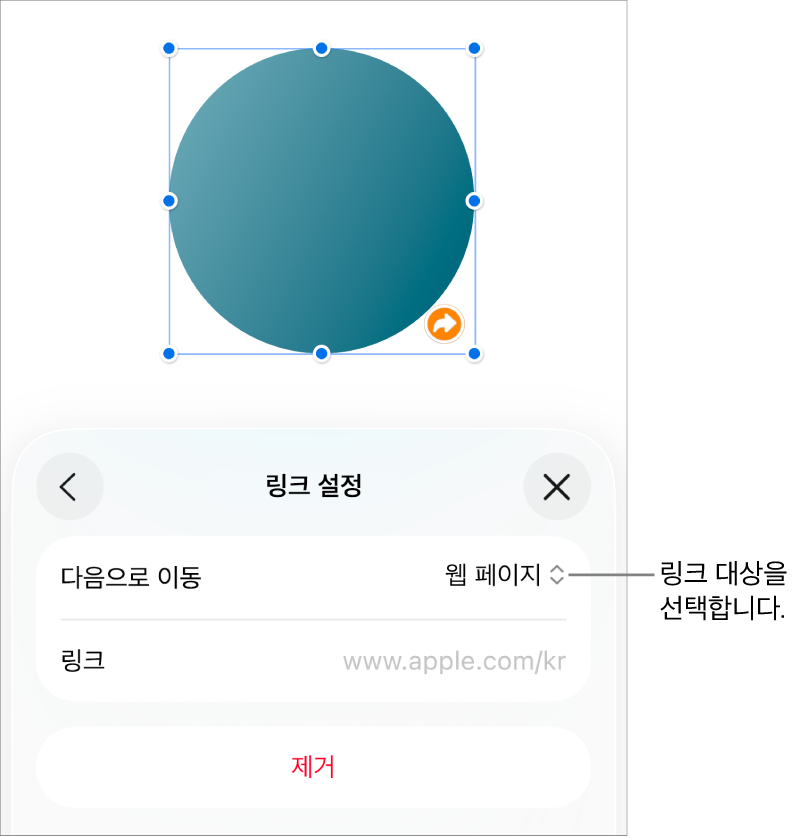 웹 페이지가 선택되어 있고, 하단에 제거 버튼이 있는 링크 설정 제어기.