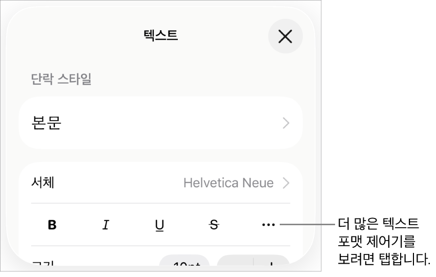 추가 텍스트 옵션에 대한 설명이 있는 포맷 제어기의 텍스트 탭.