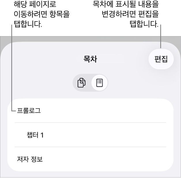 목록에 머리말이 있는 목차 보기. 편집 버튼은 오른쪽 상단 모서리에 있고 하단에는 페이지 썸네일 및 목차 버튼이 있습니다.