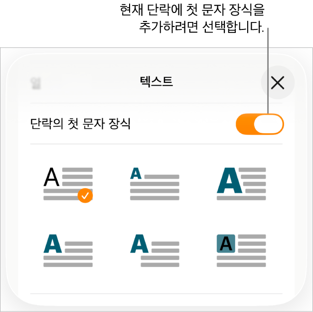 텍스트 메뉴에 위치한 ‘단락의 첫 문자 장식’ 제어기.
