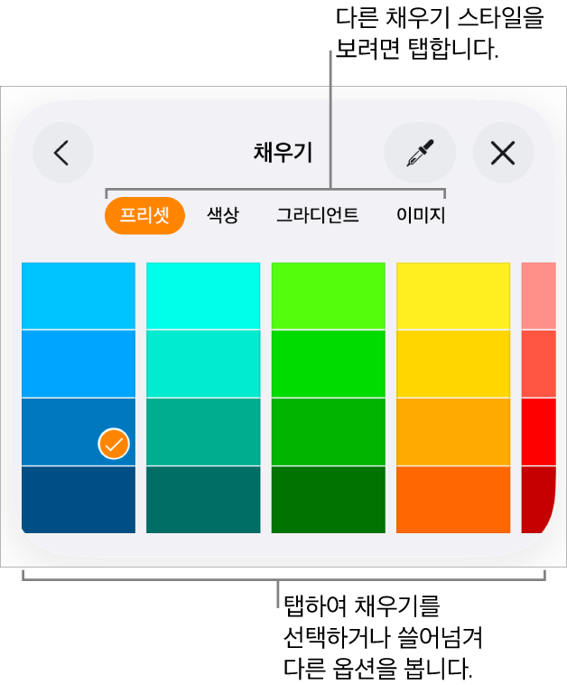 포맷 버튼의 스타일 탭에 있는 채우기 옵션.