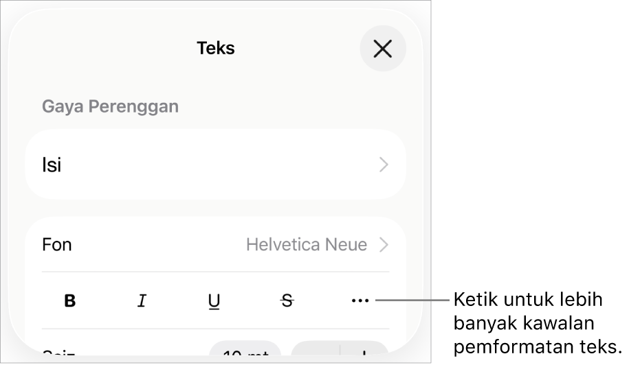 Tab Teks kawalan Format, dengan petak bual ke butang Lebih Banyak Pilihan Teks.