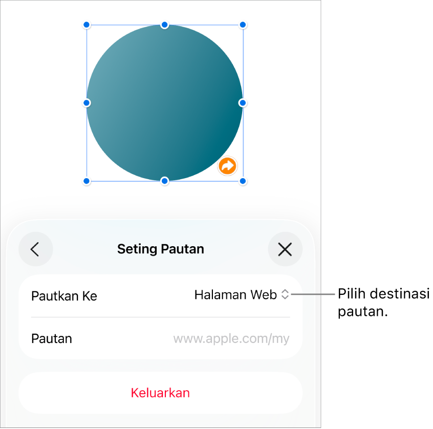 Kawalan Seting Pautan dengan Halaman Web dipilih dan butang Keluarkan di bahagian bawah.
