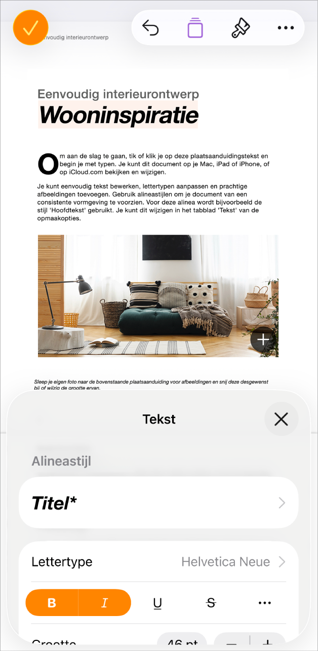 In een geopend document is tekst geselecteerd en worden onderaan tekstopties weergegeven.