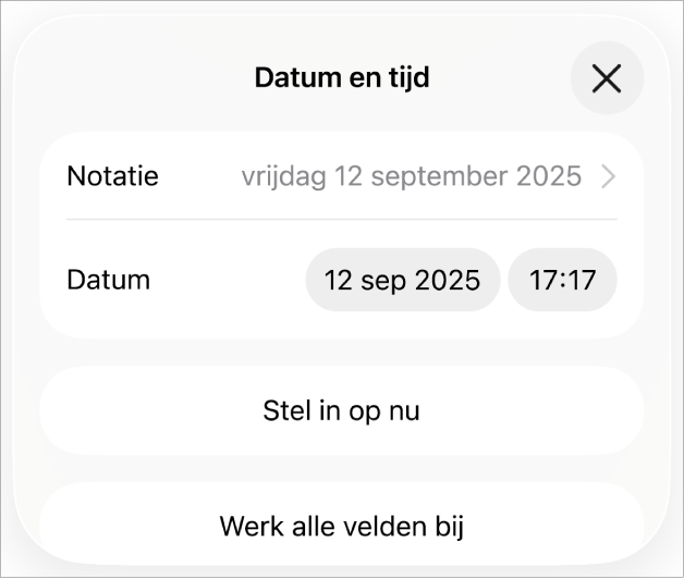 De regelaars voor datum en tijd met een pop‑upmenu voor de datumnotatie en de knoppen 'Stel in op nu' en 'Werk alle velden bij'.