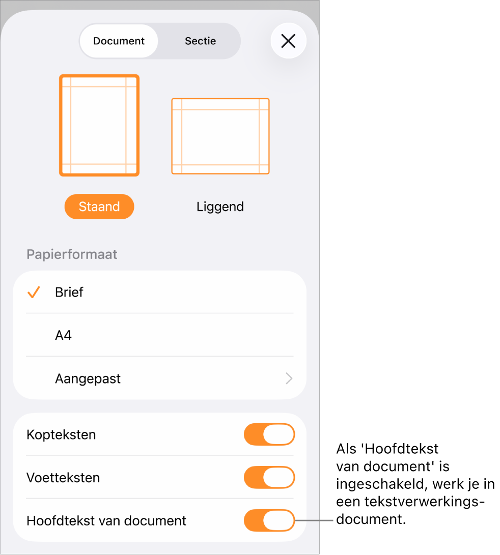 Het paneel 'Documentontwerp' met 'Hoofdtekst van document' ingeschakeld in een tekstverwerkingsdocument.
