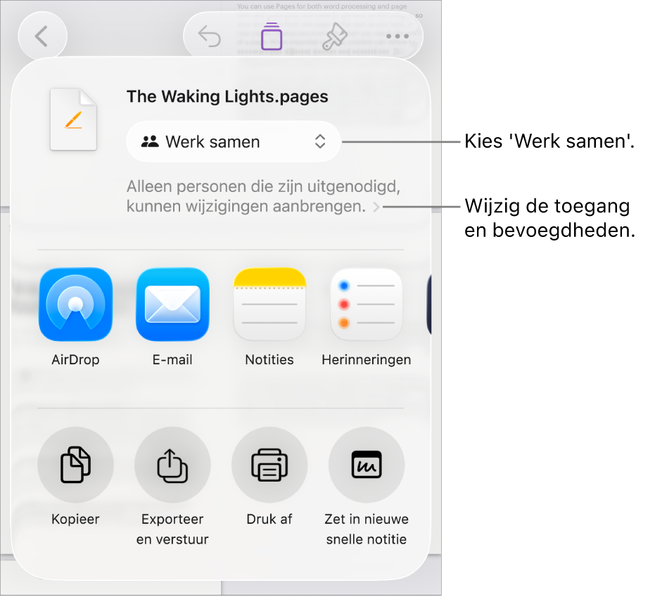 Het Deel-menu waarin bovenin 'Werk samen' is geselecteerd. Eronder staan toegangsinstellingen en bevoegdheden.