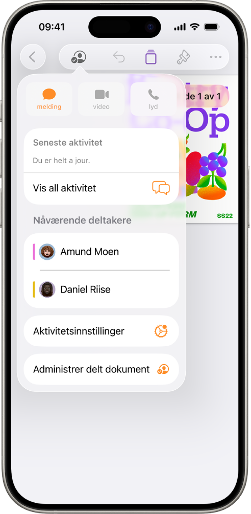 Samarbeid-menyen som viser navnene til personer som samarbeider om dokumentet.
