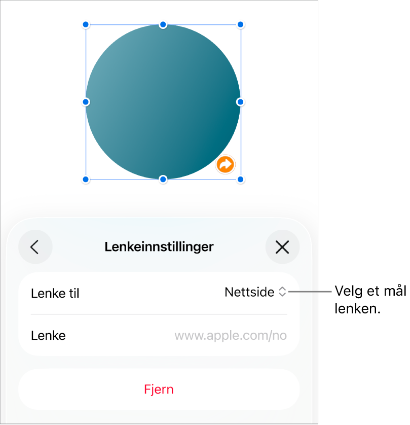 Lenkeinnstillinger-kontrollene med Nettside markert og Fjern-knappen nederst.