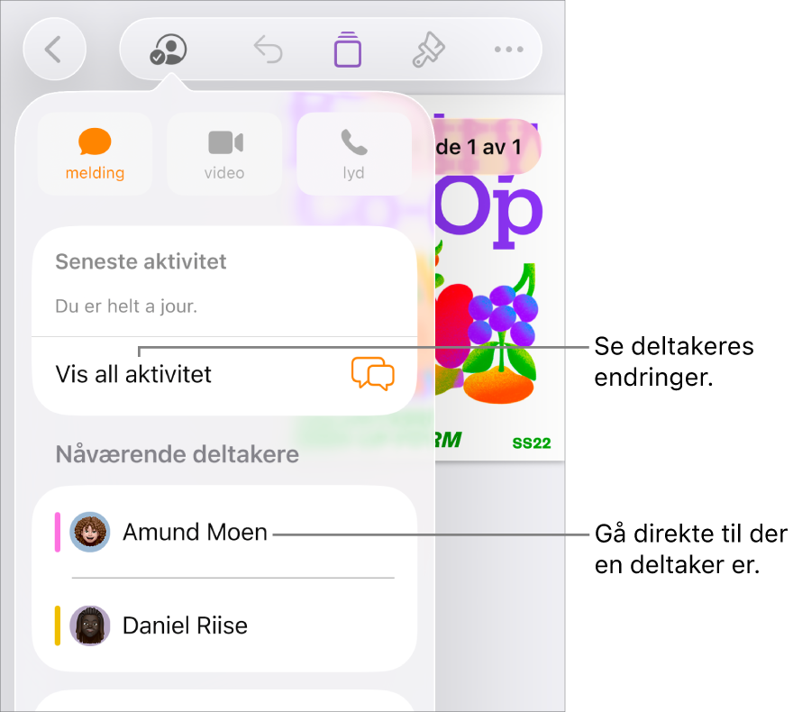 Samarbeidsmenyen, som viser gjeldende deltakere.