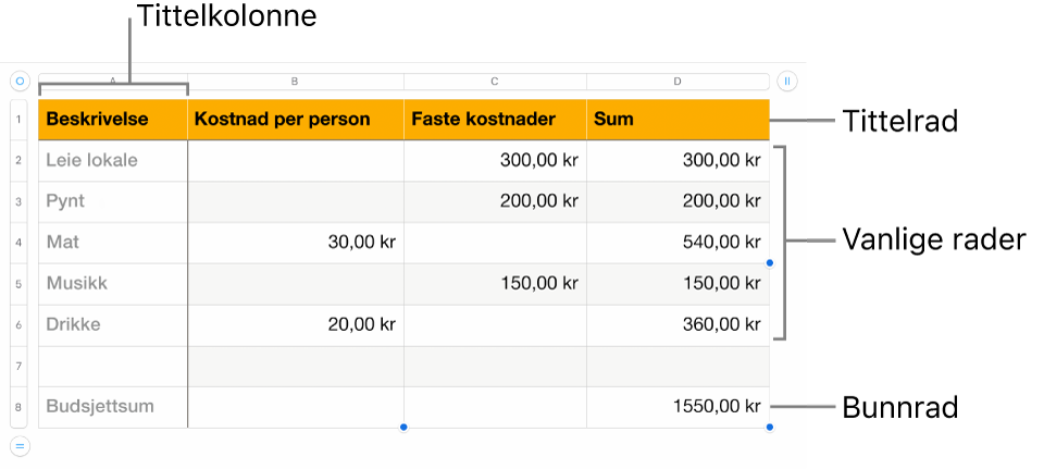 En tabell som viser tittelrader og -kolonner, vanlige rader og kolonner og bunnrader og -kolonner.