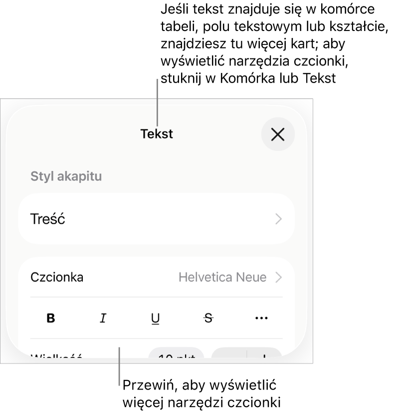 Narzędzia tekstów w menu Format służą do ustawiania stylów akapitu i znaków oraz czcionek ich wielkości i koloru.
