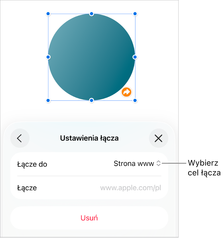 Narzędzia Ustawienia łącza; wybrane jest narzędzie Strona www; na dole znajduje się przycisk Usuń.