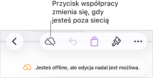 Przyciski znajdują się u góry ekranu; przycisk współpracy wyświetlany jest jako chmura przekreślona ukośną linią. Alert zawierający następującą informację: Brak połączenia z siecią, ale edycja nadal jest możliwa.