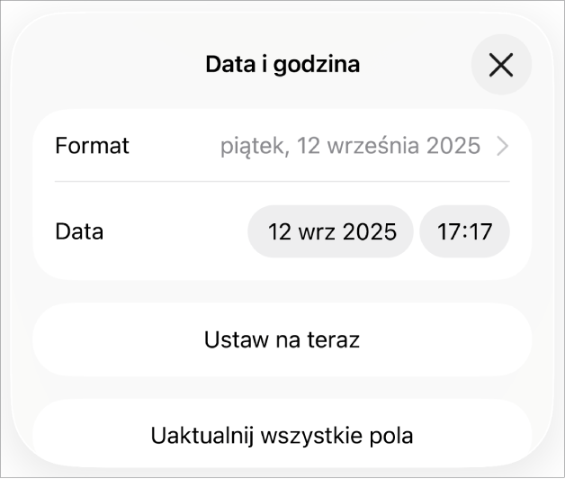 Narzędzia daty i czasu. Widoczne jest menu podręczne formatu daty i przyciski Ustaw na dzisiaj oraz Uaktualnij wszystkie pola.