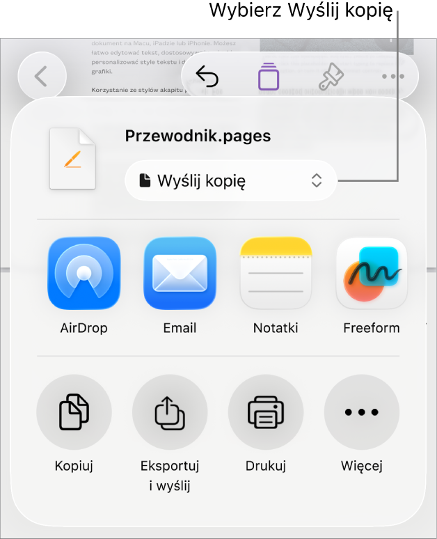 Menu udostępniania z wybraną opcją Wyślij kopię (na górze).