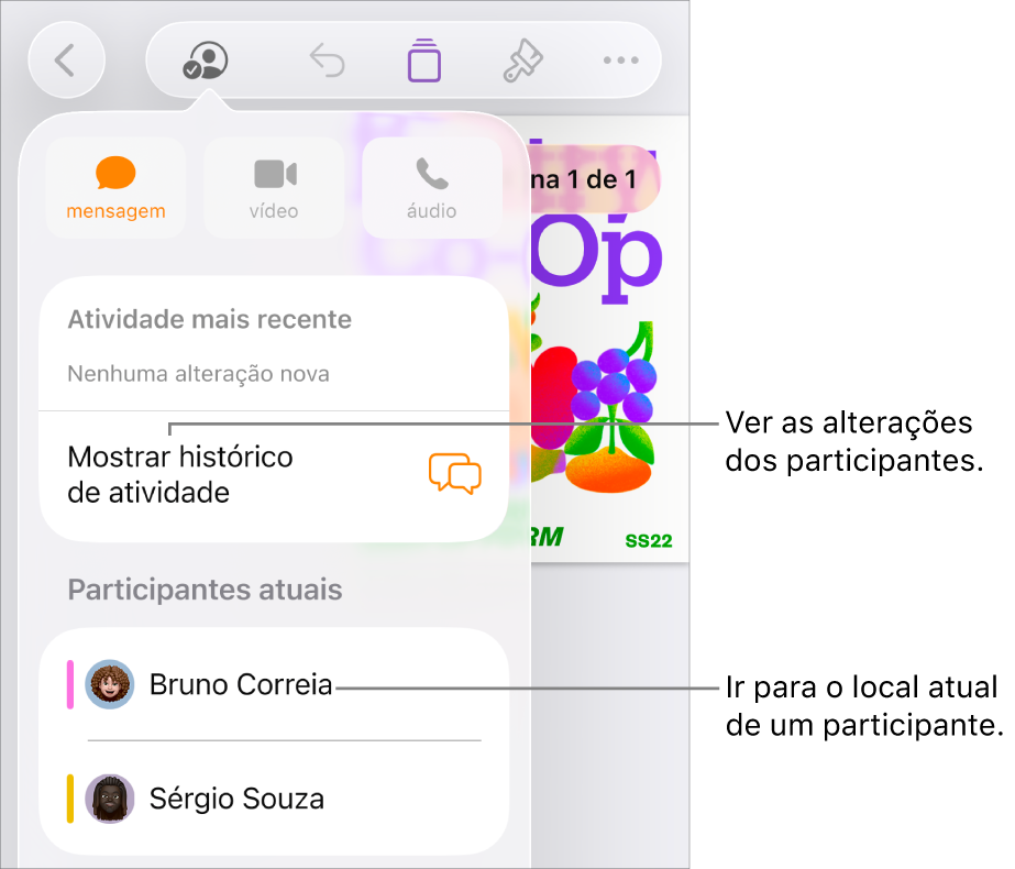 O menu de colaboração com os participantes atuais listados.