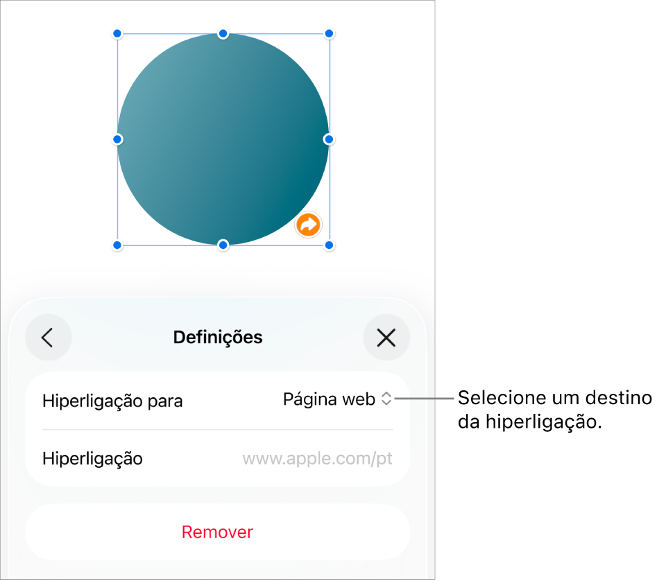 Os controlos “Definições” com a página web selecionada e o botão “Remover” na parte inferior.