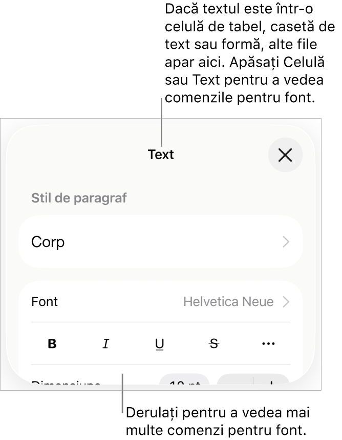 Comenzi text din meniul Format pentru configurarea paragrafelor și a stilurilor, fonturilor, dimensiunii și culorii caracterelor.