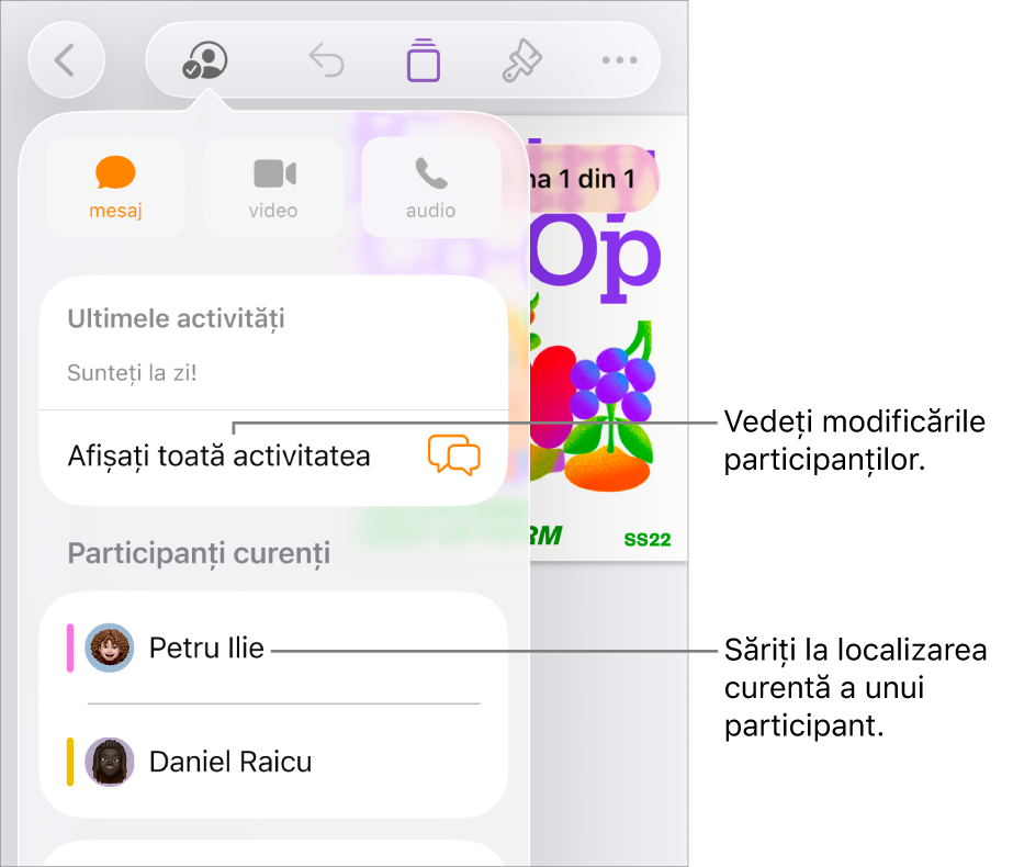 Meniul pentru colaborare cu participanții curenți listați.