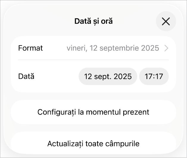 Fereastra comenzilor Dată și oră afișând un meniu pop-up pentru formatarea datei și butoanele Configurați la momentul prezent și Actualizați toate câmpurile.