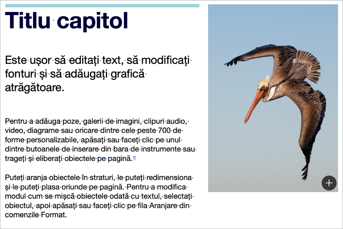 Text afișând simboluri pentru întreruperi de paragrafe și o întrerupere de secțiune.