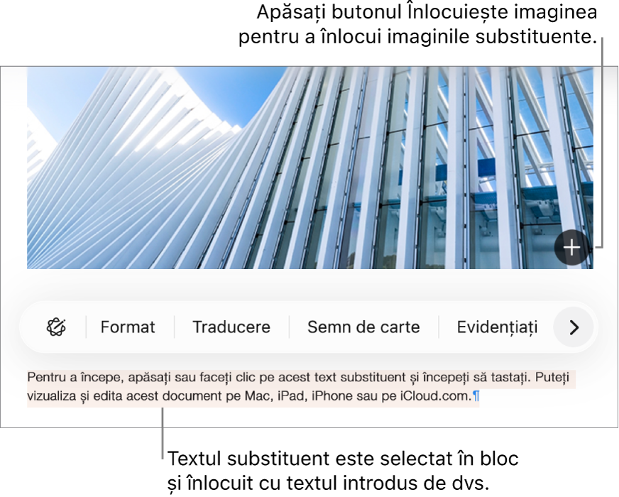Text și imagini substituente.
