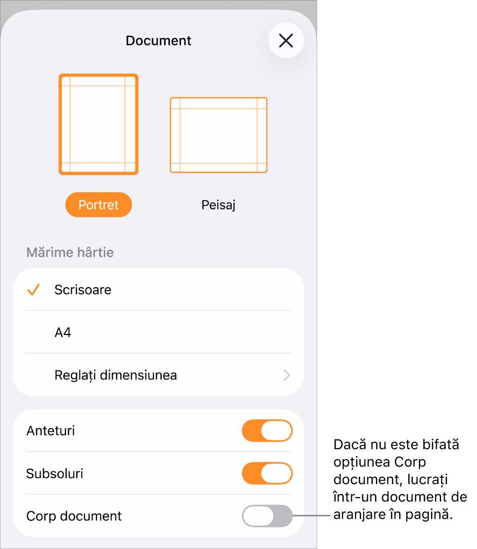Meniul Configurare document deschis, cu opțiunea Corp document debifată într-un document de aranjare în pagină.
