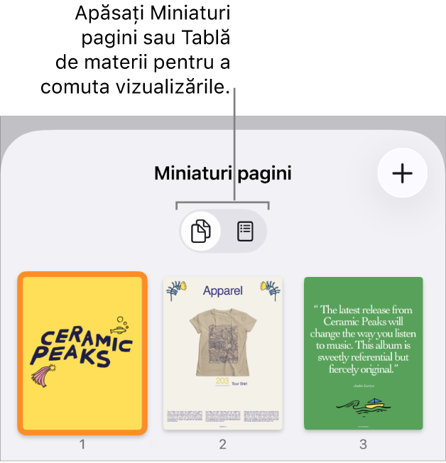Vizualizarea Miniaturi pagini, cu imagini miniaturi pentru fiecare pagină. Butonul Miniaturi pagini și butonul Tablă de materii se află în partea de jos a ecranului.