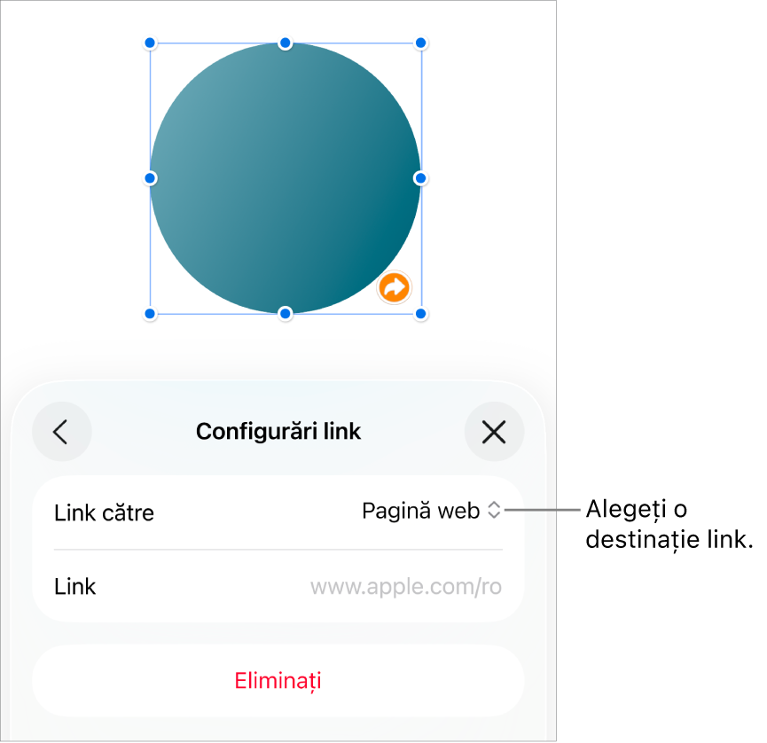 Comenzile Configurări link cu opțiunea Pagină web selectată și butonul Eliminați în partea de jos.