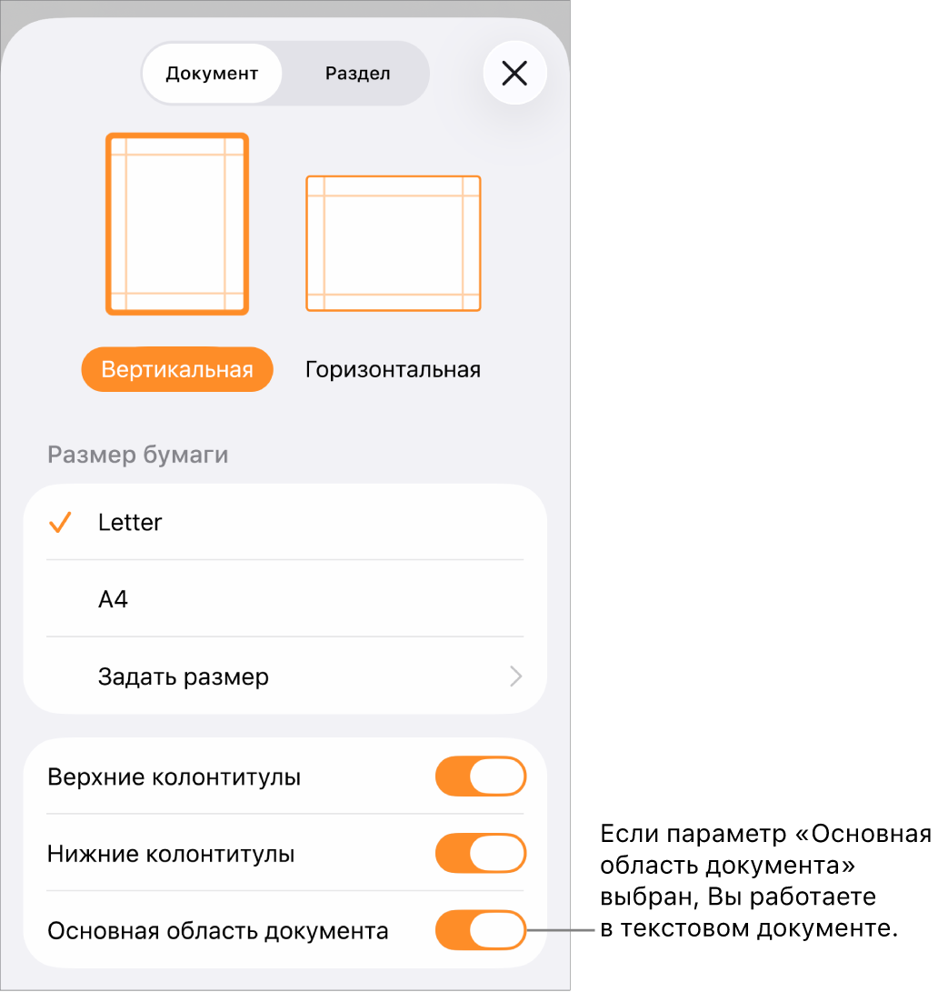 В текстовом документе открыто окно «Дизайн документа» и выбран параметр «Основная область документа».