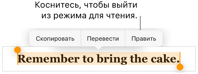 Выбрано предложение; над ним отображается контекстное меню с кнопками «Скопировать» и «Правка».