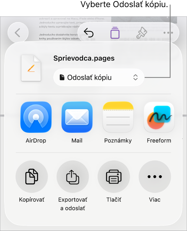Menu Zdieľať s vybranou možnosťou Odoslať kópiu vo vrchnej časti.
