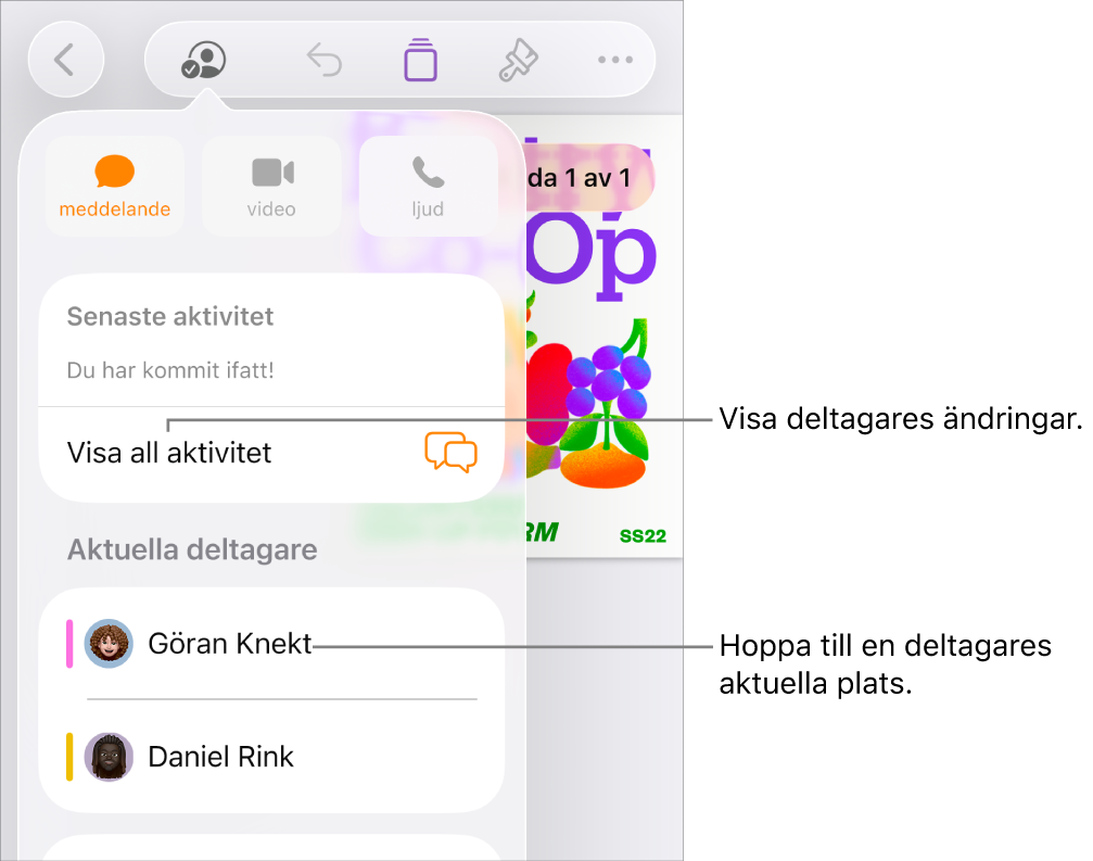 Samarbetsmenyn med aktuella deltagare listade.